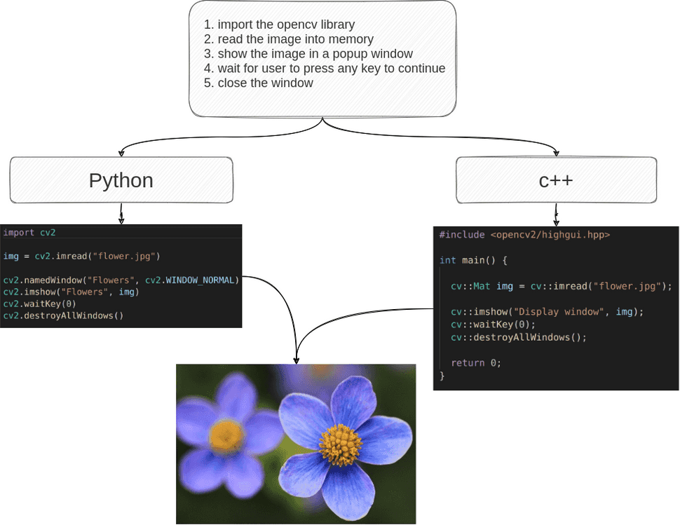 Image input and what is expected as output diagram